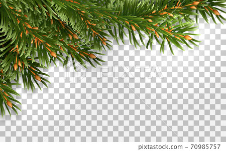 Fir tree frame isolated Fir tree frame isolated 70985757