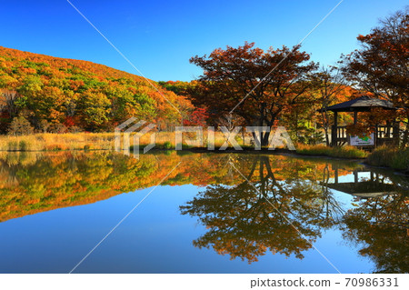 Gozaishonuma of autumn leaves Gozaishonuma of autumn leaves 70986331