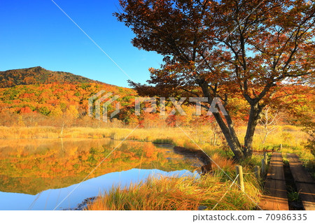 Gozaishonuma of autumn leaves Gozaishonuma of autumn leaves 70986335