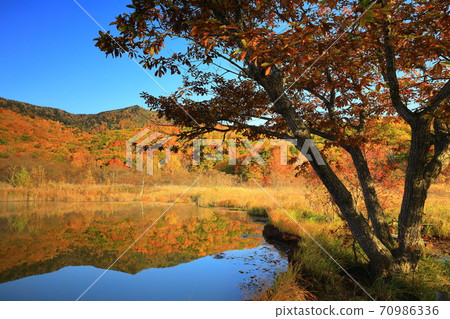 Gozaishonuma of autumn leaves 70986336