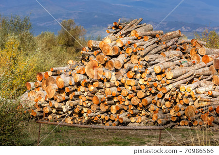 Big stack of wooden logs 70986566