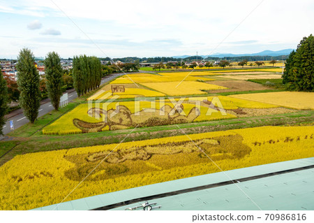 Rice field art rabbit and turtle 70986816