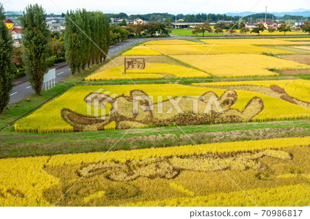 Rice field art rabbit and turtle 70986817