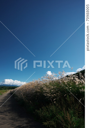 界田高原秋天的天空和鈴木路 70988005