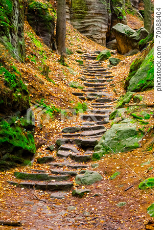 Sandstone staircase in autumnal forest 70988404