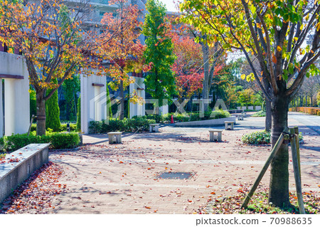 Walk on the wide sidewalk in autumn, in front of the entrance of the condominium 70988635