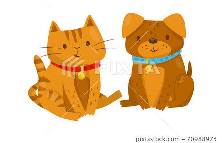 Dog and Cat with Collar Sitting Together Vector Illustration 70988973