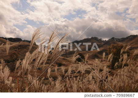 Akine Peak Plateau的Susuki 70989667