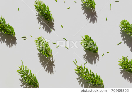 Background material for Christmas tree branches. Fir branch texture 70989803