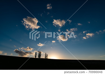 Biei Mild Seven Hills evening view in late autumn 70990048