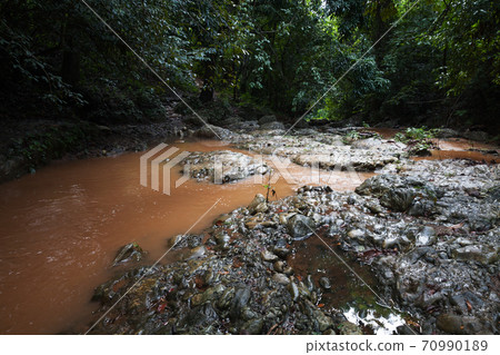 Tropical landscape with small muddy river Tropical landscape with small muddy river 70990189