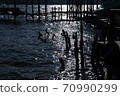水面景色，照耀著水面中禪寺湖12月 70990299