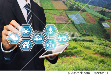 Innovation technology for smart farm system, Agriculture management, 70990481