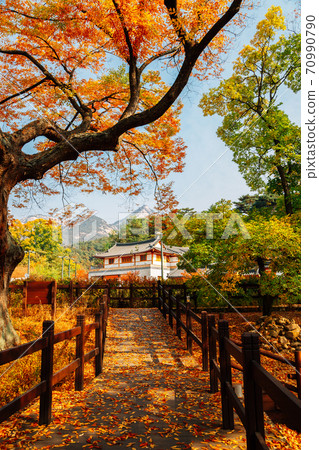 Autumn of Eunpyeong Hanok Village. Maple forest and trail road in Seoul, Korea 70990790