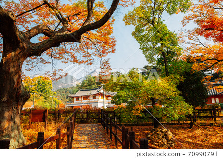 Autumn of Eunpyeong Hanok Village. Maple forest and trail road in Seoul, Korea 70990791