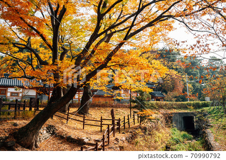 Eunpyeong Hanok Village with maple forest at autumn in Seoul, Korea 70990792