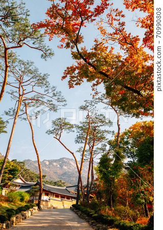 Autumn of Jingwansa Temple with Bukhansan mountain in Seoul, Korea 70990808