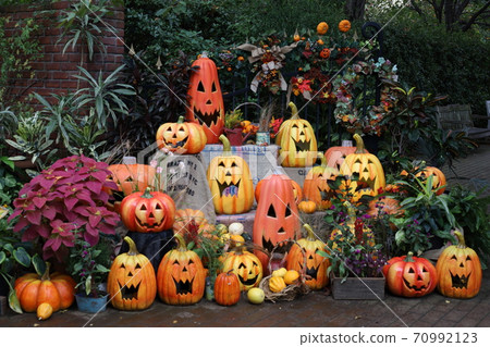 Pumpkins of Halloween 70992123