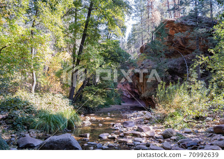 Beautiful fall color around West Fork hiking area 70992639