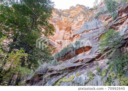 Beautiful fall color around West Fork hiking area 70992640