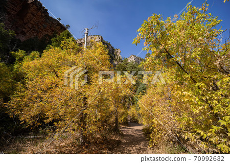 Beautiful fall color around West Fork hiking area 70992682