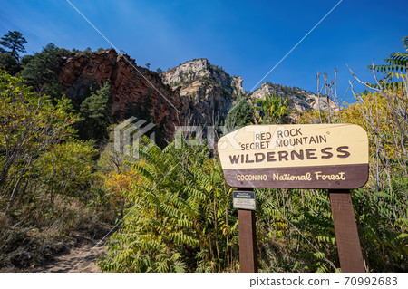 Beautiful fall color around West Fork hiking area Beautiful fall color around West Fork hiking area 70992683