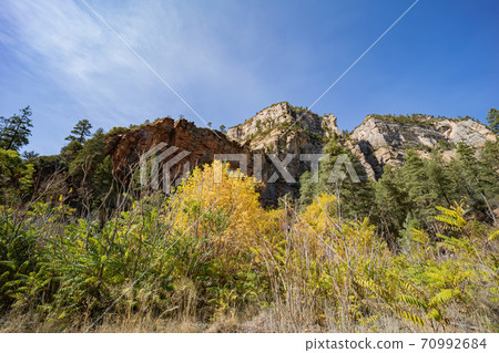 Beautiful fall color around West Fork hiking area 70992684
