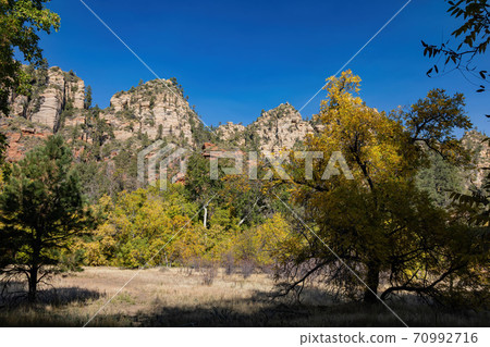 Beautiful fall color around West Fork hiking area 70992716