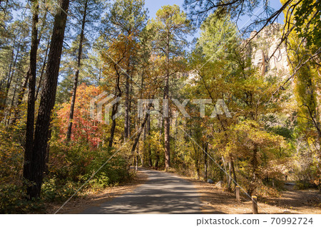 Beautiful fall color around Cave Springs Campground 70992724