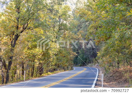 Beautiful fall color around Coconino National Forest Beautiful fall color around Coconino National Forest 70992727