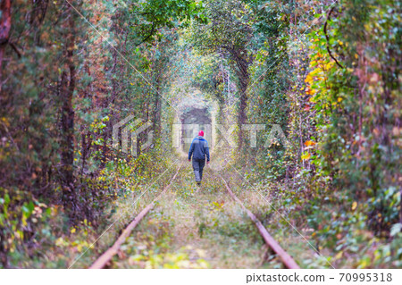 Trees tunnel 70995318