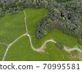 Aerial view of autumn mountain landscape with evergreen pine trees and yellow fall forest. 70995581
