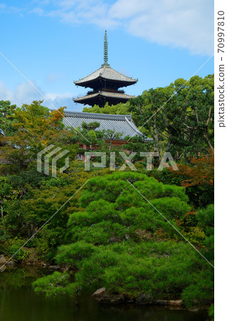 Ninna-ji 5層塔 Ninna-ji 5層塔 70997810