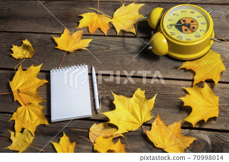 back to school theme with autumn leaves and stationery back to school theme with autumn leaves and stationery 70998014