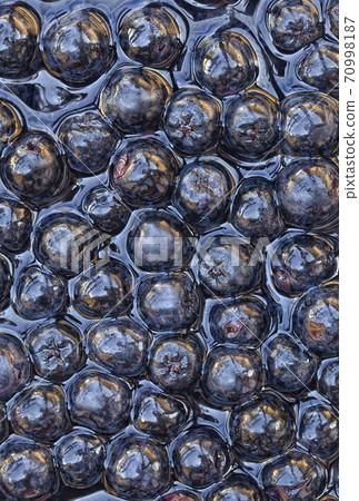 Aronia Melanocarpa Background 70998187