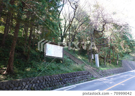 Shinpu Castle 70999042