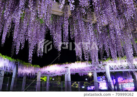 藤岡富士節 70999162