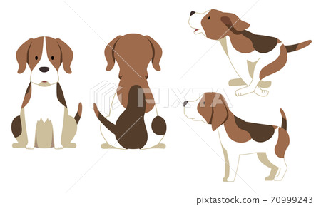 Beagle dog illustration material Beagle dog illustration material 70999243