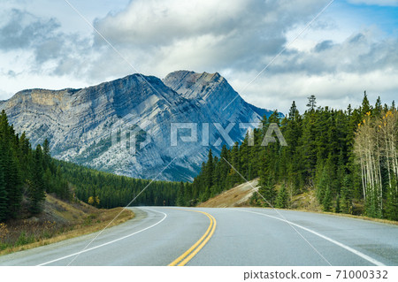 Rural road in the forest with Mount Stelfox in the background. Alberta Highway 11 (David Thompson Hwy), Jasper National Park, Canada. 71000332