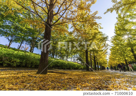 Azuma Sports Park, Fukushima City, Fukushima Prefecture Azuma Sports Park, Fukushima City, Fukushima Prefecture 71000610