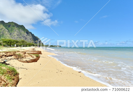 Holidays in Hawaii Holidays in Hawaii 71000622