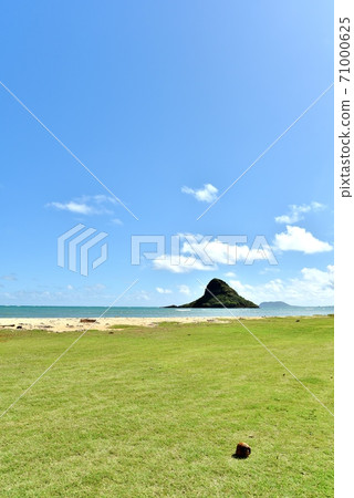 夏威夷的假期 71000625