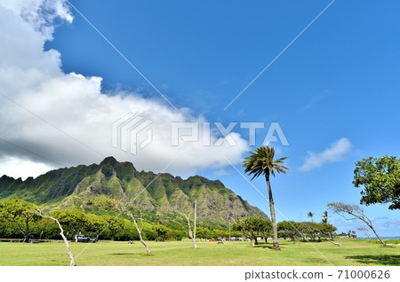 Holidays in Hawaii Holidays in Hawaii 71000626