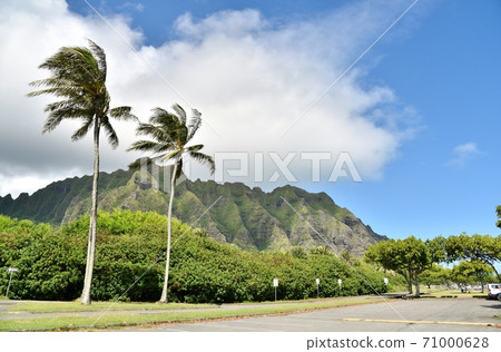 Holidays in Hawaii Holidays in Hawaii 71000628