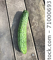 I harvested one cucumber 71000693
