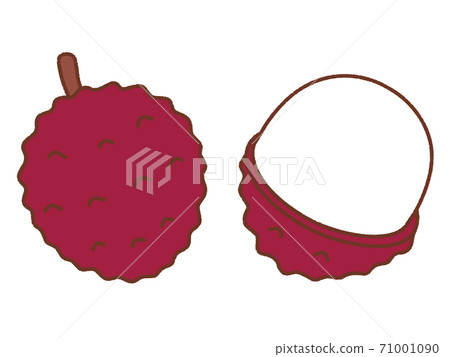 Litchi 71001090