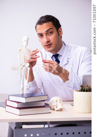 Young male doctor studying human skeleton 71001897