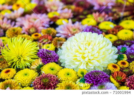 福島縣日本松市市花水清（Kikutemizu） 71001994