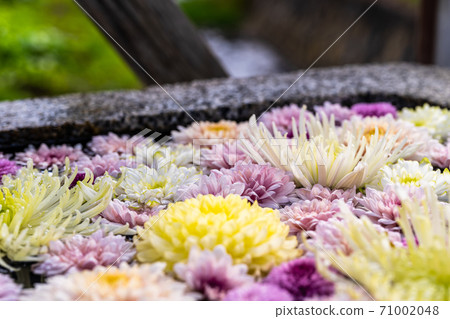 福島縣日本松市市花水清(Kikutemizu) 福島縣日本松市市花水清(Kikutemizu) 71002048