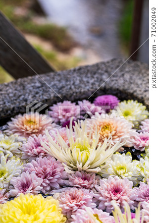 福島縣日本松市市花水清（Kikutemizu） 71002049